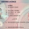 British drivers licence