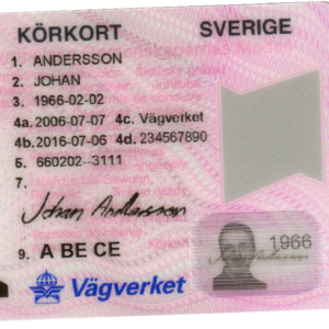 Swedish driver's license