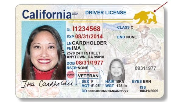 Buy USA ID card